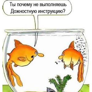 что это-должностная инструкция